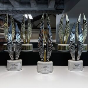 Hermes Viddy awards